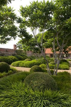 Tom Stuart Smith, Plantas Bonsai, Have Inspiration, Contemporary Garden, Formal Gardens, Garden Landscape Design, Garden Spaces, Front Garden, Modern Garden