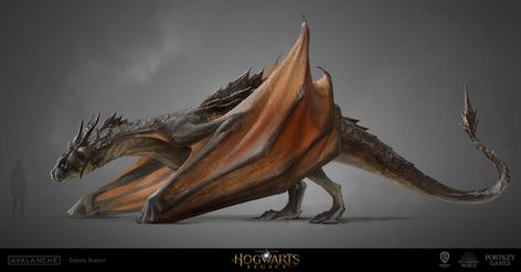 Hebridean Black Art - Hogwarts Legacy Art Gallery Wyvern Dragon, Game Of Thrones Artwork, Dragon Tales, Beast Creature, Dragon Warrior, Hogwarts Legacy, Fantasy Beasts, Wild Creatures, Dragon Pictures