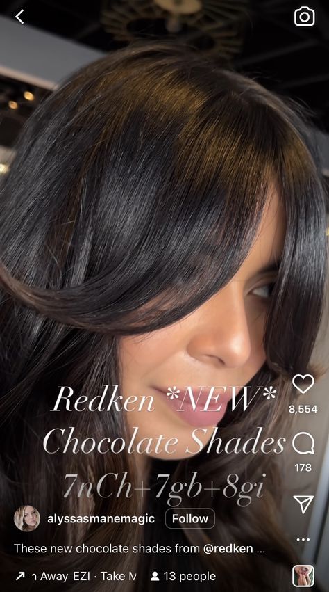 Shades Eq Formulas Brunettes Dark, Dimension On Black Hair, Shades Eq Dark Brown Formulas, Dark Brown Hair Formula, Chocolate Brown Redken Formulas, Dark Blonde Shades Eq Formula, Redken Brunette Formulas, Level 5 Brown Hair, Redken Shades Eq Formulas Brown