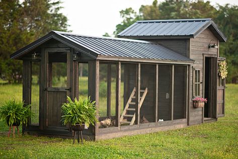 Chicken Coop Hillside, Greenhouse With Chicken Coop, Chicken Coop House Ideas, Designer Chicken Coop, Big Chicken Coop Ideas, Chicken Coop And Run Plans, Interior Chicken Coop Ideas, Large Chicken Coop Ideas, Green Chicken Coop