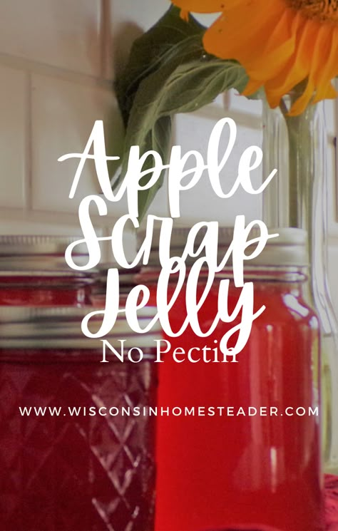 Apple Scrap Jelly Recipe- No Pectin Uses For Apple Peels, Apple Peeling Jelly, Uses For Apple Peels And Cores, Small Batch Apple Scrap Jelly, Apple Scraps Jelly, Apple Peal Jam, Apple Scrap Jelly Recipe Canning, Apple Jelly No Pectin, Apple Jelly Recipe No Pectin