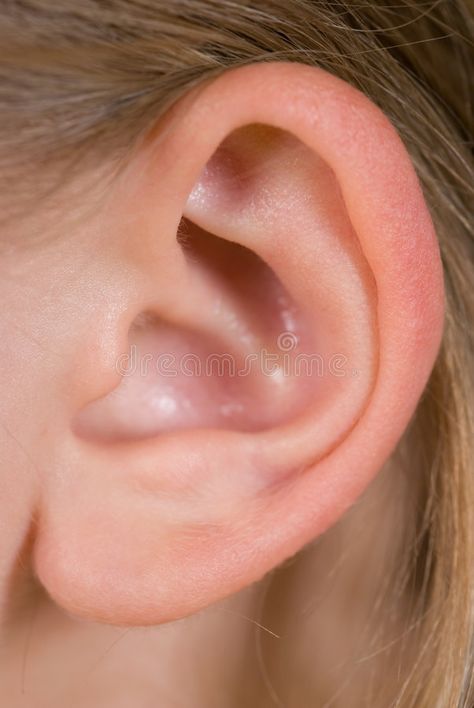 Water In Ear Remedy, Ear Remedies, Water In Ear, Ear Picture, Shiatsu Massage Acupressure, How To Draw Ears, Human Ear, Shiatsu Massage, Hearing Loss