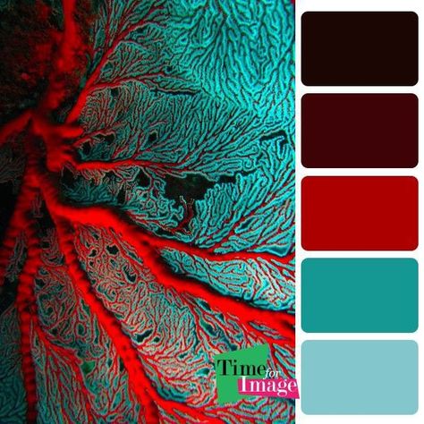 Color palette red Paint Color Combos, Pour Paint, Color Design Inspiration, Red Colour Palette, Color Schemes Colour Palettes, Color Palette Bright, Paint Color Palettes, Pallet Painting, Colour Chart