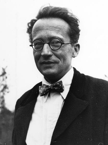 Erwin Schrodinger, Noble Prize, Erwin Schrödinger, Wave Equation, Quantum Theory, Atomic Theory, Physics Experiments, Famous Scientist, Richard Feynman