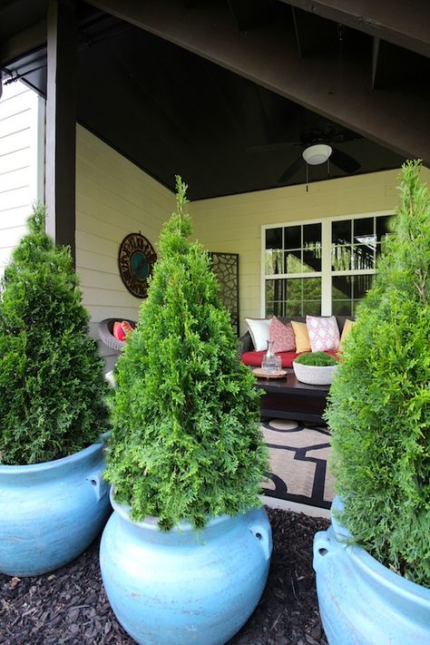 Container Trees Outdoors, Container Trees Outdoors Patio, Pot Plants Outdoor Patio, Container Trees, Small Patio Spaces, Patio Upgrade, Container Gardening Ideas, Summer Planter, Container Gardening Flowers