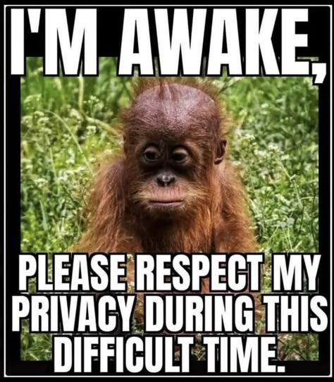 Respect My Privacy, Funniest Quotes, Funny Pfp, Funny Day Quotes, Good Morning Funny Pictures, Funny Good Morning Quotes, Funny Cartoons Jokes, Morning Quotes Funny, Slaap Lekker