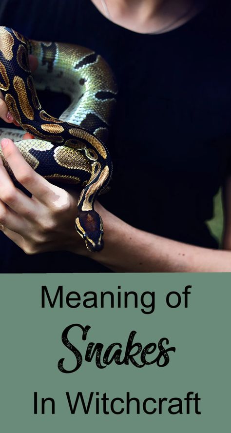 Serpent & Sorceress: Meaning of Snakes in Witchcraft - Moody Moons Snake Skin Spells, Snake Skin Aesthetic, Snake Priestess, Snake Energy, Spiral Meaning, Serpent Symbolism, Kundalini Awakening Symptoms, Celtic Snake, Kundalini Tattoo