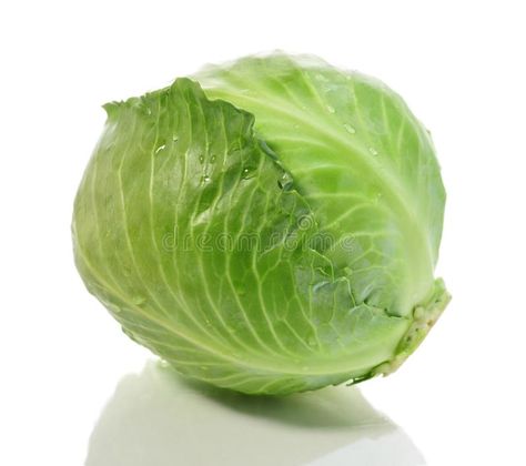 Cabbage. Fresh cabbage isolated on white #Sponsored , #affiliate, #PAID, #Fresh, #isolated, #cabbage, #Cabbage Cabbage Drawing, Cabbage Photo, Grocery Ads, White Cabbage, Black Plague, Improve Nutrition, Healthy Lifestyle Quotes, Watercolor Kit, Dslr Background