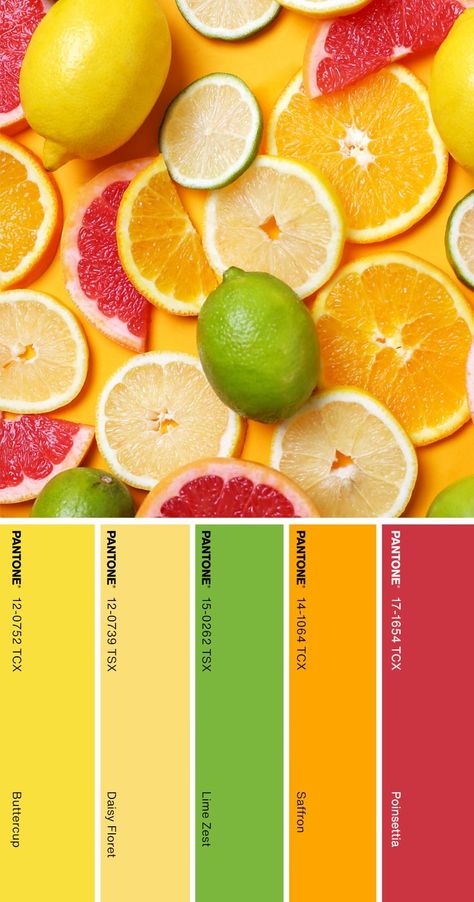 Bright Citrus Color Palette, Lime Yellow Color Palette, Passionfruit Color Palette, Nail Color Palette Ideas, Color Palette Fruit, Lemon Colour Palette, Juice Bar Color Palette, Citrus Color Scheme, Citrus Colour Palette