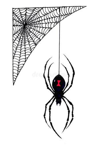 Scary Spider Drawing, Creepy Spider Drawing, Spider Hanging From Web Drawing, Black Widow Spider Drawing, Spider Drawing Sketches, Red Widow Spider, Spider Draw, Spider Sketch, Black Widow Drawing