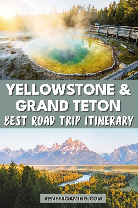 Yellowstone and Grand Teton National Park photo collage with overlay. Linked to Yellowstone and Grand Teton National Parks: Best Road Trip Itinerary. Yellowstone Vacation Planning, Yellowstone Road Trip, Renee Roaming, Yellowstone National Park Vacation, Wyoming Vacation, Yellowstone Vacation, Yellowstone Trip, Wyoming Travel, Visit Yellowstone