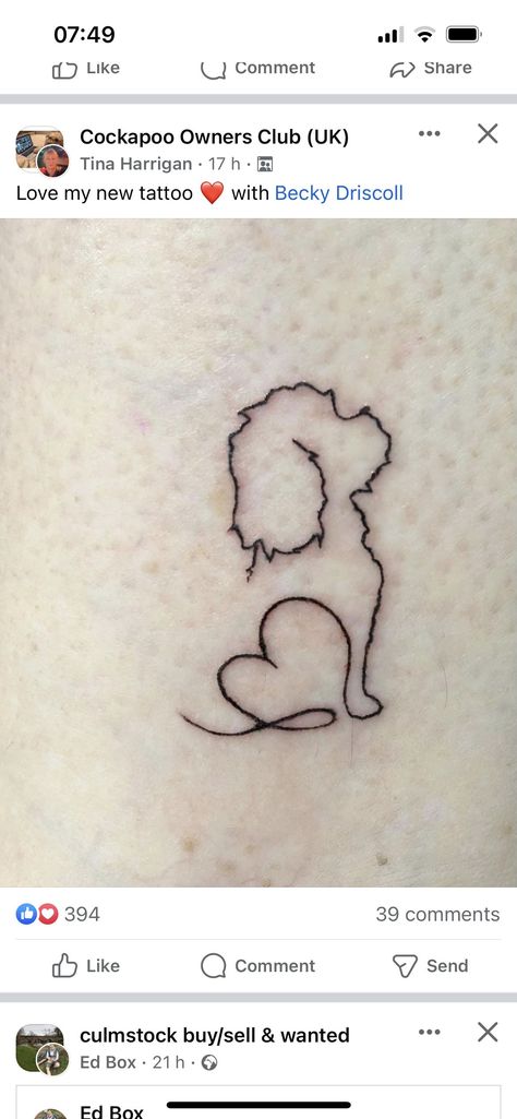 Bichon Outline Tattoo, Bichon Frise Tattoo Ideas, Simple Poodle Tattoos, Bichon Frise Tattoo Outline, Poodle Silhouette Tattoo, Labradoodle Tattoo Ideas, Cockapoo Ears Tattoo, Havanese Tattoo Ideas, Shihpoo Tattoo