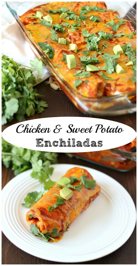 Chicken & Sweet Potato Enchiladas ~ www.mykitchencraze.com ~ Tortillas filled with chicken, sweet potatoes and black beans, then smothered in enchilada sauce and cheese! Delicious! Sweet Potatoes And Black Beans, Sweet Potato Enchiladas, Potato Enchiladas, Chicken Sweet Potatoes, Potato Filling, Black Bean Enchiladas, Sweet Potato Tacos, Bean Enchiladas, Mild Salsa