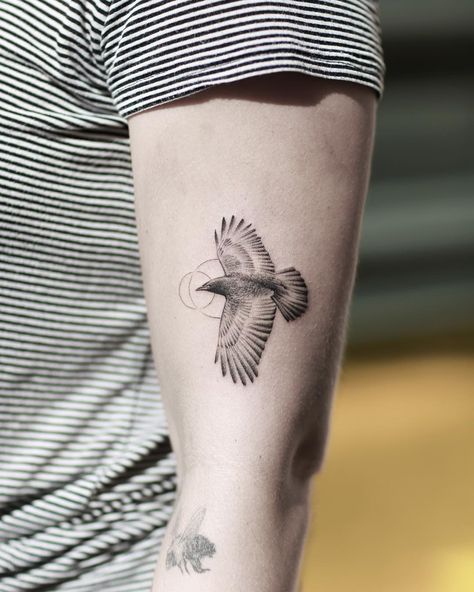 Crow 💫  Appointment Rome Tattoo, How To Tattoo, Fineline Tattoos, Crow Tattoo, Detailed Tattoo, Tattoos Gallery, Tattoo Tattoo, Fine Line, Best Artist