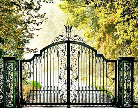 Tor Design, Security Gates, Driveway Entrance, Gates And Fences, Entrance Gates Design, Iron Gate Design, Entrance Gate, Wrought Iron Gate, Metal Gates