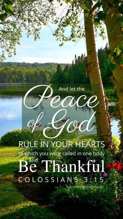 Colossians 3 15, The Peace Of God, Bible Verse Background, Colossians 3, Favorite Scriptures, Beautiful Bible Verses, Peace Of God, Ayat Alkitab, Bible Love