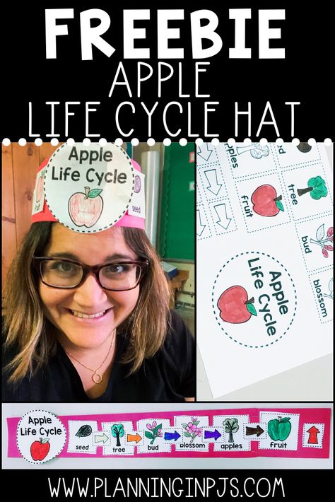 FREE apple life cycle hat or headband to have students demonstrate their knowledge on how an apple grows #appletheme #applecraft #applelifecycle Reading Preschool, Science Kindergarten, September Ideas, Apple Kindergarten, Apple Life Cycle, Apple Lessons, Apple Preschool, Kindergarten Freebies, Apple Unit