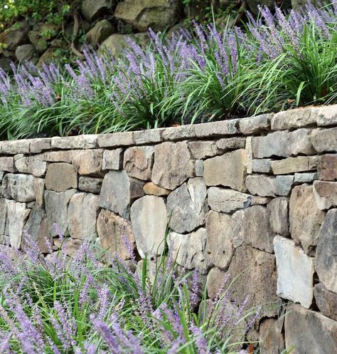 Stone Wall Garden Ideas, Dry Stone Wall Garden, Stone Wall Landscape, Stone Wall Garden, Dry Stack Stone Wall, Wall Garden Ideas, Stack Stone Wall, Field Stone Wall, Natural Stone Retaining Wall