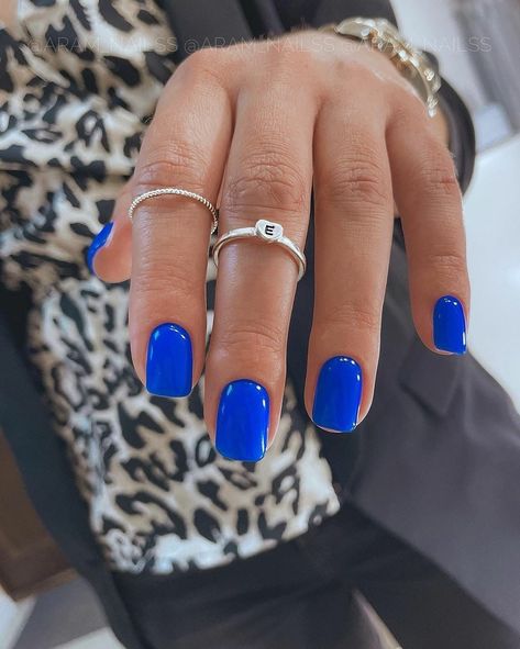 Blue Shellac Nails, Pressed On Nails, Nails Short Medium, Shellac Nails Summer, Nail Jelly, Jelly Stickers, Blue Press On Nails, Gel Lak, Blue Gel Nails