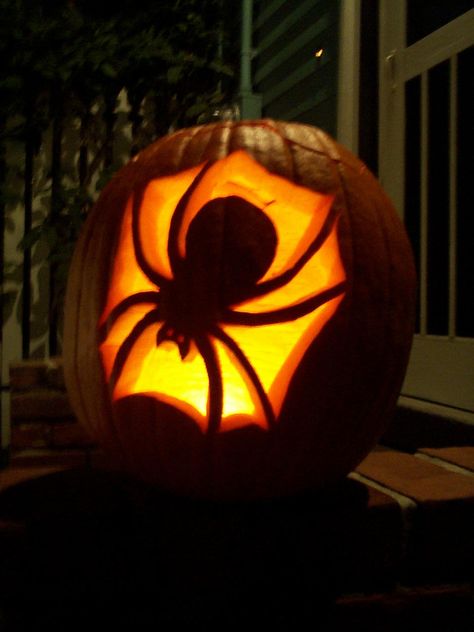 Spooky Carved Pumpkins Ideas, Scary Carved Pumpkins Ideas, Scary Pumpkin Carving Ideas Easy Simple, Pumpkin Carving Ideas Beginner, Pumping Carving Designs, Easy Halloween Carving Pumpkin Ideas, Spider Pumpkin Ideas, Pumpkin Spider Carving, Easy Halloween Pumpkin Ideas