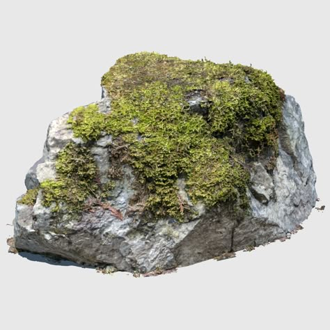 Moss Drawing, Rocks Png, Moss Texture, Rock Png, Mossy Rocks, Forest Dragon, Photoshop Landscape, Landscape Rock, Rock Photography