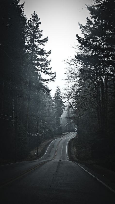 Dark Naturalism Aesthetic, Dark Forest Aesthetic, Dark Black Wallpaper, Iphone Wallpaper Aesthetic, Twilight Photos, Dark Landscape, Wallpaper Iphone Wallpaper, Dark Nature Aesthetic, Forest Road