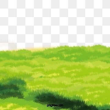 Clover Lawn, Grass Drawing, Grass Illustration, Grass Vector, Grass Background, Remove Background From Image, Landscape Elements, Background Drawing, Green Lawn