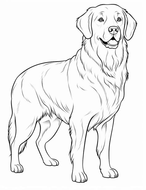 Colorings Pages Coloring pages #coloringpages Coloring books #coloringbooks Coloring pages for kids #coloringpagesforkids Coloring pages for kids animals #coloringpagesforkidsanimals 3.582 Geometric Wolf Tattoo, Dog Drawing Simple, Labrador Dogs, Arte Quilling, Puppy Coloring Pages, Easy Art For Kids, Human Figure Sketches, Monster Coloring Pages, Kids Animals