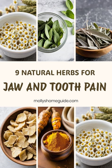 Explore the power of natural remedies for tooth and jaw pain with these effective DIY solutions. Find relief from toothaches using herbs, essential oils, and therapeutic ointments. Discover self-care practices for temporalis headaches and tooth infections to alleviate discomfort. Combat tooth abscesses and infections with gentle yet potent natural antibiotics. Say goodbye to wisdom tooth pain and embrace holistic healing methods for long-lasting relief. Herbs For Tooth Ache, Diy Antibiotics For Tooth Infection, Natural Tooth Pain Relief, Natural Antibiotics For Tooth Infection, Toothache Remedies, Tooth Pain Remedies, Wisdom Teeth Pain, Tooth Pain Relief, Healing Methods