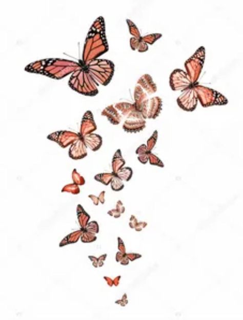 Flock Of Butterflies, Butterflies Tattoo, Flying Butterflies, Valentine Card, Butterfly Tattoo, Flocking, Maple Leaf Tattoo, Valentines Cards, Rooster