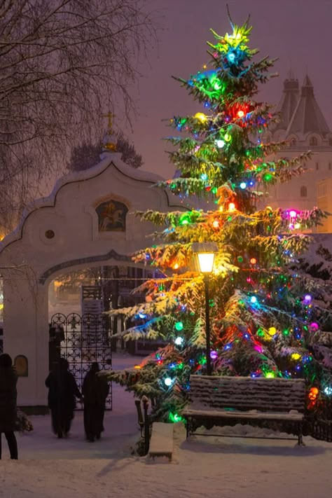 Catholic Christmas Aesthetic, Christian Christmas Aesthetic, Slavic Christmas, Orthodox Christmas, Catholic Christmas, New Year 2023, Russian Orthodox, Christian Christmas, Good Deeds