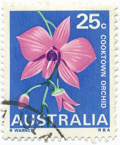 Cooktown Orchid, Flowers Australia, Beetle Wings, Australian Flowers, Stamp Catalogue, Old Stamps, Rare Stamps, Chat Board, Post Stamp