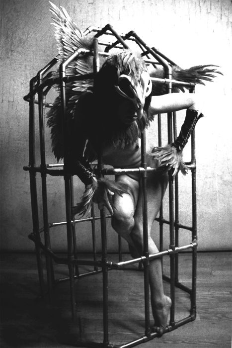 Caged The Caged Bird Sings, Ange Demon, Conceptual Photography, Bird Cages, Angels And Demons, Dark Photography, Dark Art, Photography Inspiration, Feathers