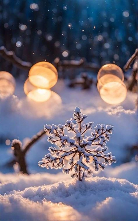 Beautiful Snow Pictures, Magic Winter Aesthetic, Holiday Pics Aesthetic, Christmas Magic Aesthetic, New Year Celebration Aesthetic, Winter Aesthetic Pics, Christmas Mood Aesthetic, Beautiful Winter Scenes Christmas, Christmas Aesthetic Warm