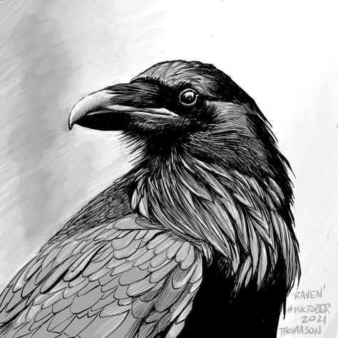 Simple Raven Drawing, Crow Coloring Page, Crow Sculpture, Crow Portrait, Raven Drawing, Professor Aesthetic, Hatch Drawing, Crows Drawing, Gothic Drawings