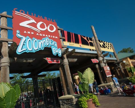 Columbus Zoo and Aquarium - Event Calendar Summer Bucket List 2022, Zoo Tickets, Brookfield Zoo, Columbus Zoo, Ohio Travel, Cross Country Trip, Mandrill, Hotel Packages, Us Travel Destinations