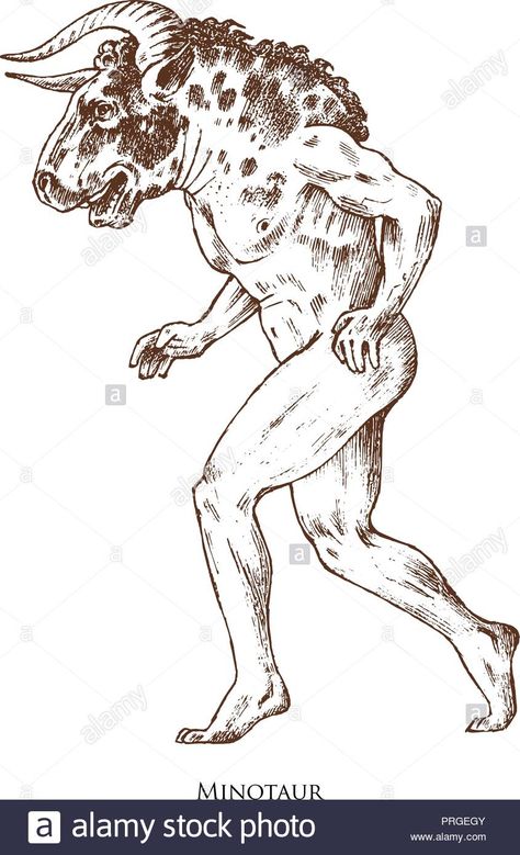 Download this stock vector: Mythical Minotaur. Mythological antique animal. Ancient man with a bull's head, fantastic creatures in the old vintage style. Engraved hand drawn old sketch. - PRGEGY from Alamy's library of millions of high resolution stock photos, illustrations and vectors. Minotaur Illustration, Tattoo Inspo, Old Vintage, Old Art, The Old, Vector Art, Vintage Style, Stock Vector, Hand Drawn