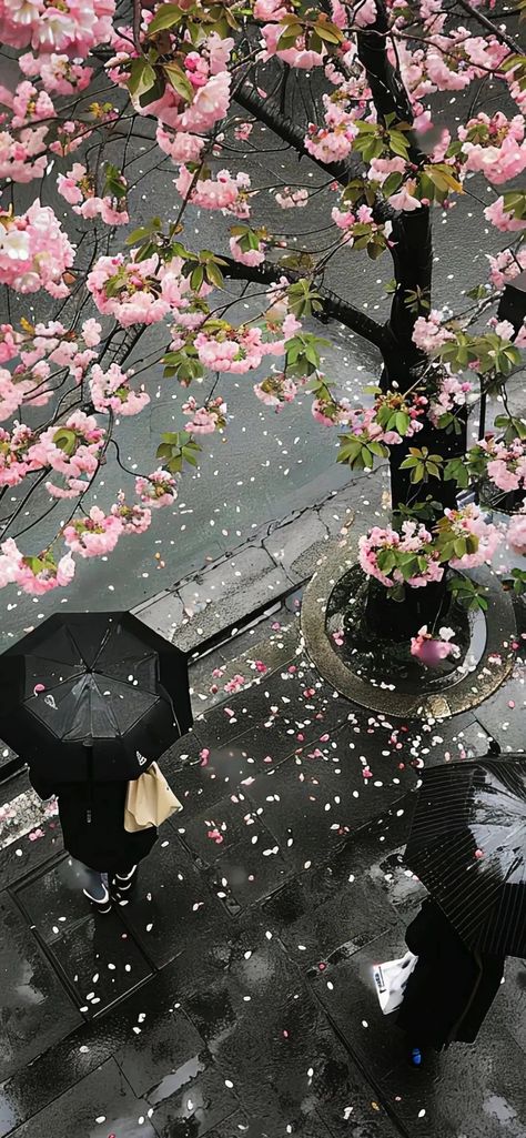 Wallapers Aesthetics Japanese, Calm Japanese Wallpaper, Japanese Themed Wallpaper, Black Pink Wallpaper Iphone, Japan Wallpaper Laptop, Iphone 15 Pink Wallpaper, Japan Phone Wallpaper, Iphone X Lockscreen, Nice Wallpaper Iphone