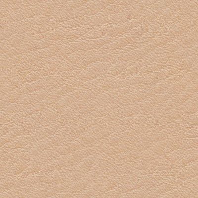 Seamless human skin texture pink white up close Grass Texture Seamless, Paper Texture Seamless, Human Skin Texture, Mountain Texture, Dirt Texture, Road Texture, Sugaring Hair Removal, Plaster Texture, Tree Textures