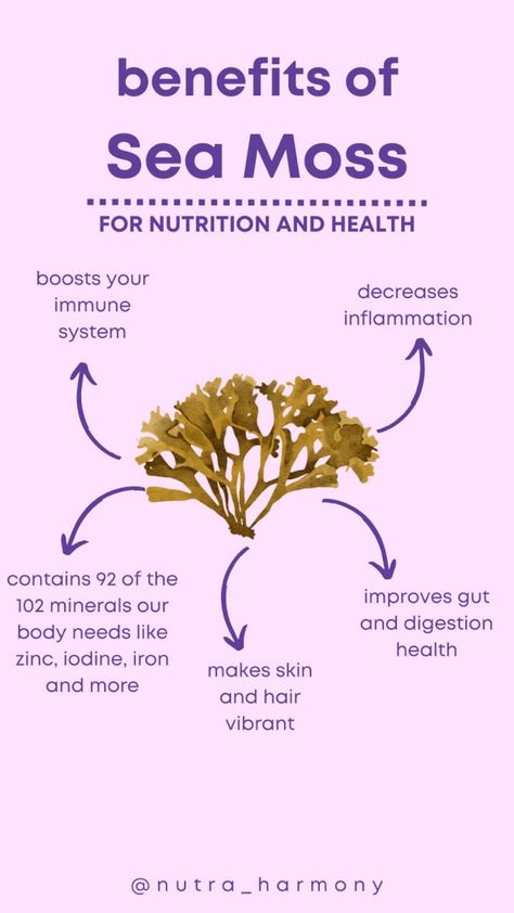 Seamoss Benefits Skin, Benefits Of Sea Moss, Health Benefits Of Sea Moss, Organic Sea Moss, Benefits Of Sea Moss And Bladderwrack, Seamoss Benefits, Nutrition And Health, Social Media Advertising Design, Food Tech