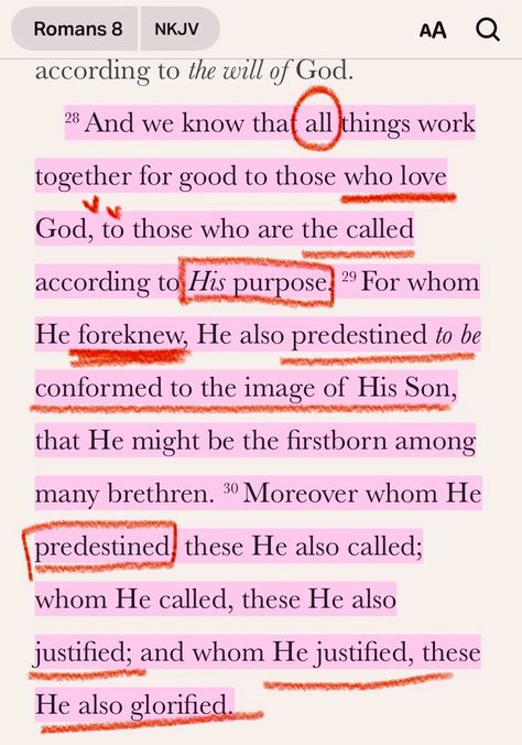 He PREDESTINED you & i to BE LIKE Jesus, He FOREKNEW you! He knew u before everything (which kinda leads me into the thinking that He knew you & i when He was creating everything) I See Jesus In Her, Be Like Jesus, Pink Christian, Holy Girl, Faith Quotes Inspirational, Christian Board, All Things Work Together, Biblical Womanhood, Christian Woman