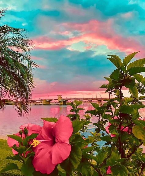 Stay Salty Florida™ on Instagram: “Sunset from Sarasota, FL☀️R🌴DA . . Photo Cred @__little__dove__ #staysaltyflorida #staysalty #florida #floridalife #loveflorida…” Baby Crib Diy, Stay Salty, Only Aesthetic, Flower Cottage, Secret Admirer, Blue Sunset, Png Aesthetic, Pretty Sunset, Desktop Pictures