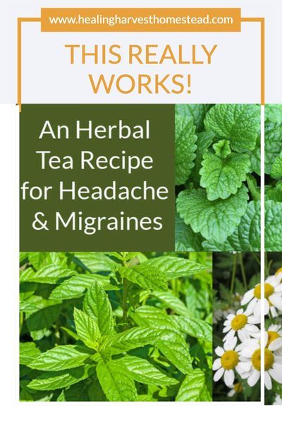 Had a bad day? You just need a quick soothing remedy for your nerves? Well, here is an herb blend you can make with only three herbs. You’ll find an easy tea recipe and an easy tincture recipe if you prefer that method. It’s a WIN! You might even be growing these incredible plants in your garden right now. Click here for this tea recipe that will help with your stress levels and headaches. #herbs #howtouse #tea #herbaltea #tincture #howtomake #teaforstress #healingharvesthomestead #c Headache Tea, Herb Teas, Nerve Pain Remedies, Tea Witch, Tinctures Recipes, Tea Blends Recipes, Had A Bad Day, Migraine Headache, Easy Teas