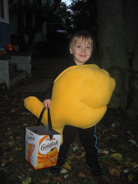 My goldfish. charlie as a goldfish cracker 2012 homemade Goldfish Halloween Costume, Goldfish Costume Diy, Halloween Goldfish Snack, Crochet Goldfish Cracker, Goldfish Costume, Original Goldfish Crackers, Goldfish Food, Goldfish Snack, Goldfish Types