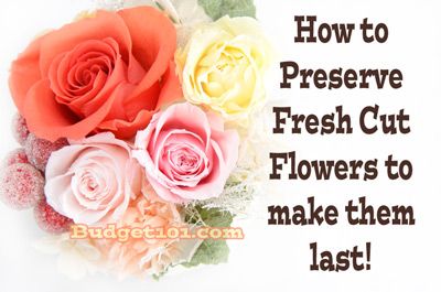 Preserving Flowers, Preserve Flowers, Flowers Last Longer, Sogetsu Ikebana, Flower Preservation, Flower Arrangements Diy, Arrangement Ideas, Dry Flowers, Preserved Flowers