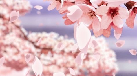 Imagem de flower anime gif Fanfiction, The Story, Books Wattpad, Blossom, Cherry, Trees, Wattpad, Gif, Books