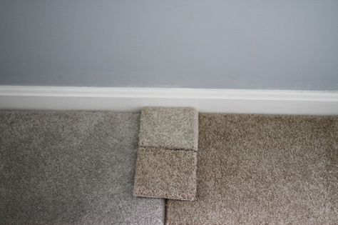 gray carpet. (color on left) September Goals, Carpet Diy, Basement Carpet, Red Carpet Runner, Hallway Carpet Runners, Carpet Trends, Brown Carpet, Buying Carpet, Cheap Carpet Runners