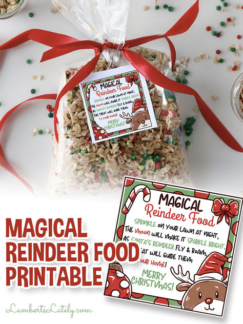 magical reindeer food printable, bag with ribbon and printable. Making Reindeer Food With Kids, Reindeer Food Labels Free Printable Tags, Reindeer Food Bar Ideas, How To Make Reindeer Food For Kids, Reindeer Dust Recipe, Magical Reindeer Food, Reindeer Food Poem Free Printable, Animal Safe Reindeer Food Recipe, Reindeer Food Recipe Printable