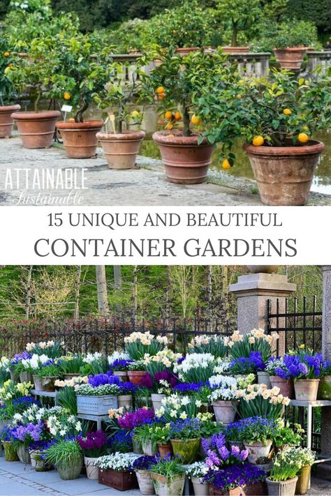 Are you needing some imspiration for you next container gardens? Or, are looking to plant some container gardens and don't have a clue where to start? I found so many unique and beautiful container garden ideas, so I gathered together my favorite 15 and am sharing them all with you today! Visit the link in our profile for inspiration! Flower Bed Container Ideas, Container Garden On Gravel, Container Gardening Front Yard, Side Yard Container Garden, Container Patio Ideas, Deck Garden Ideas Potted Plants, Landscaping With Pots In Flower Beds, Multiple Pots Container Garden, Container Garden Flower Bed