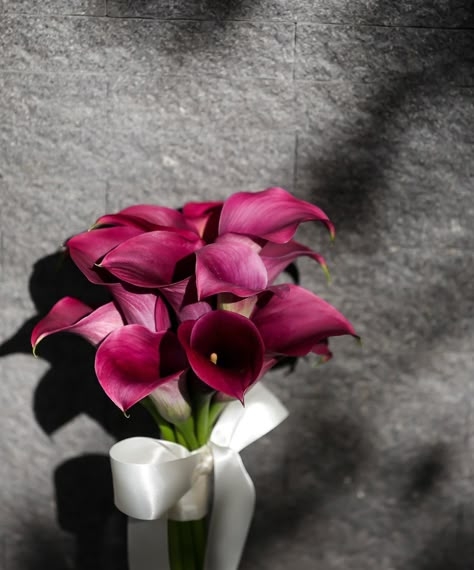 Carnation Bridal Bouquet, Calla Lillies Bouquet, Elopement Venues, Japan Wedding, Red Bouquet Wedding, Red Bouquet, Wedding Image, Pink Bouquet, Civil Ceremony